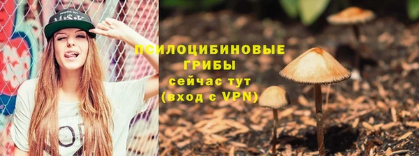 мдпв Нягань
