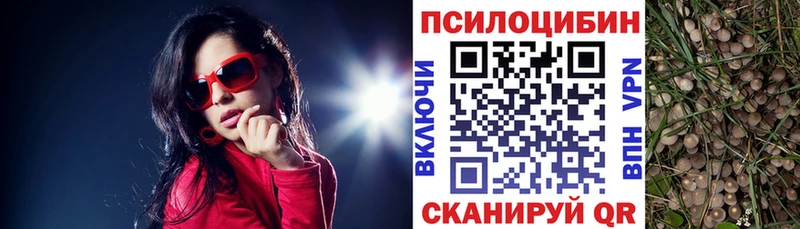 Псилоцибиновые грибы мухоморы  Полярный 